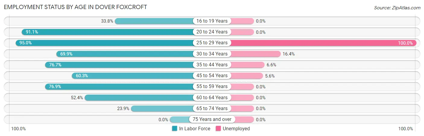 Employment Status by Age in Dover Foxcroft