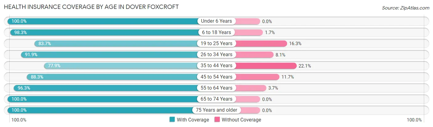 Health Insurance Coverage by Age in Dover Foxcroft