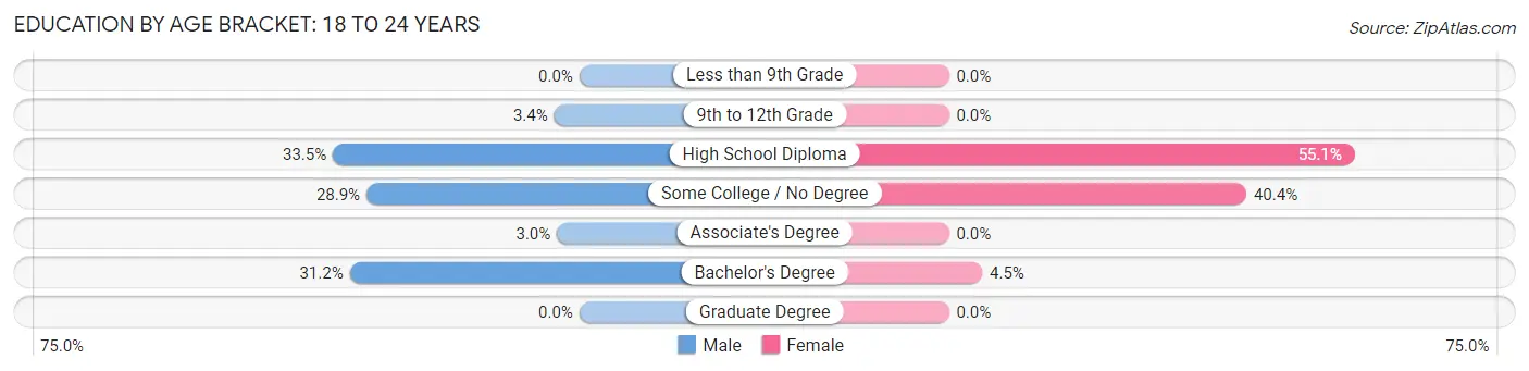 Education By Age Bracket in Ellsworth: 18 to 24 Years