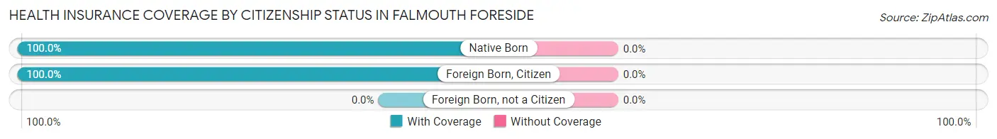 Health Insurance Coverage by Citizenship Status in Falmouth Foreside