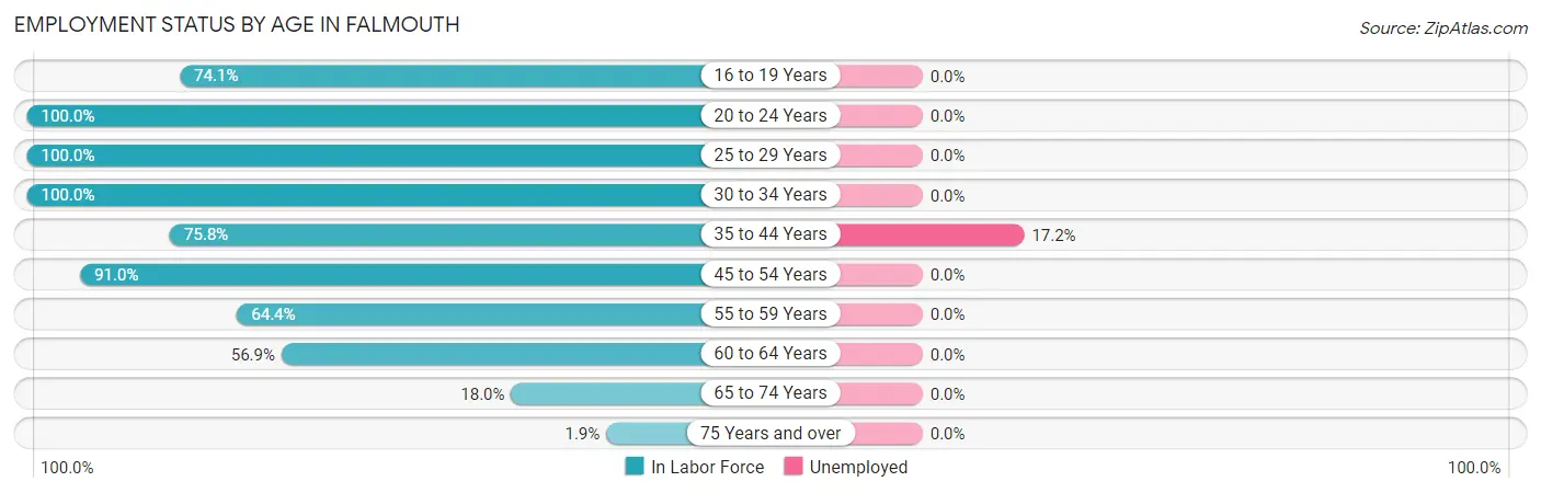 Employment Status by Age in Falmouth