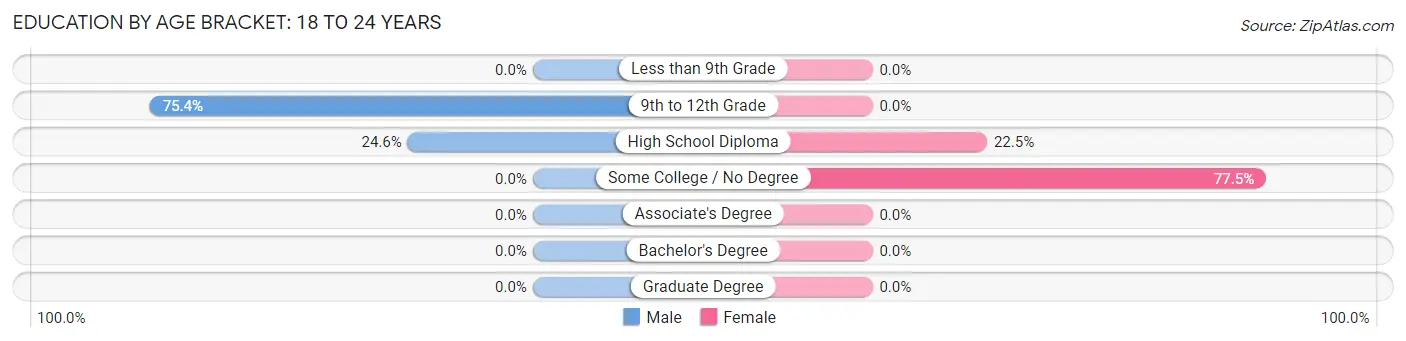 Education By Age Bracket in Farmingdale: 18 to 24 Years