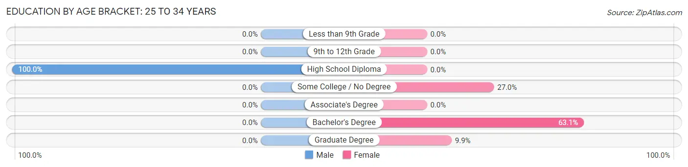 Education By Age Bracket in Farmingdale: 25 to 34 Years