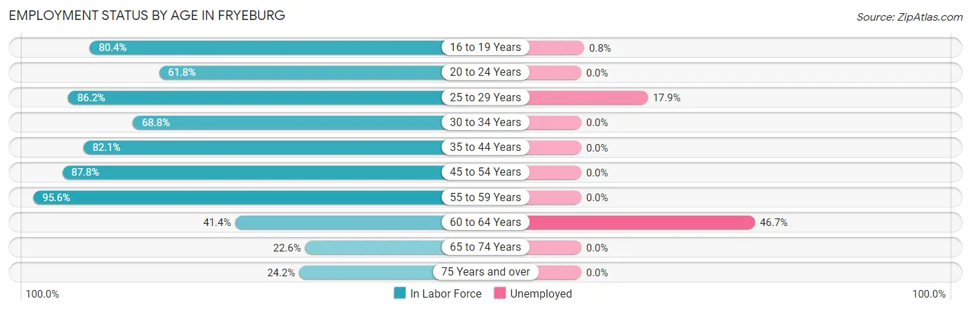 Employment Status by Age in Fryeburg