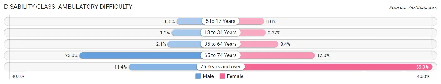Disability in Gorham: <span>Ambulatory Difficulty</span>