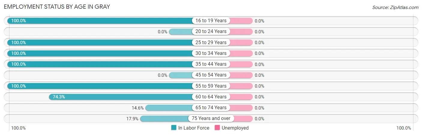 Employment Status by Age in Gray