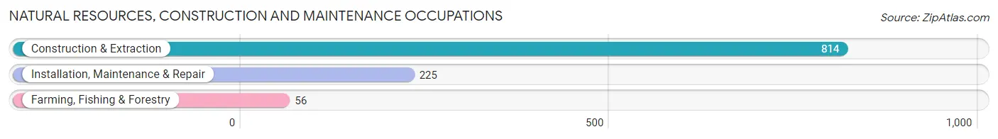 Natural Resources, Construction and Maintenance Occupations in Lewiston