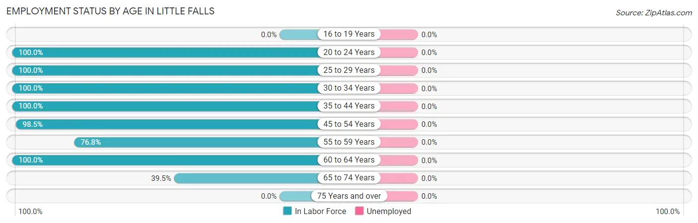 Employment Status by Age in Little Falls