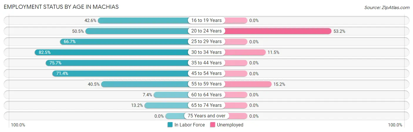 Employment Status by Age in Machias