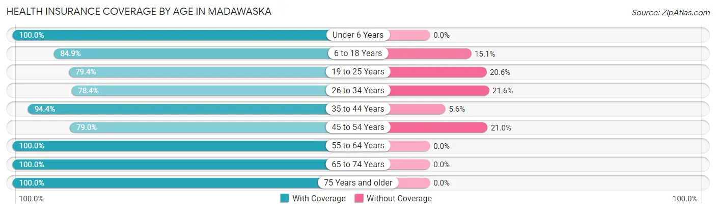 Health Insurance Coverage by Age in Madawaska