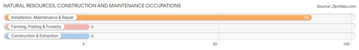 Natural Resources, Construction and Maintenance Occupations in Madawaska