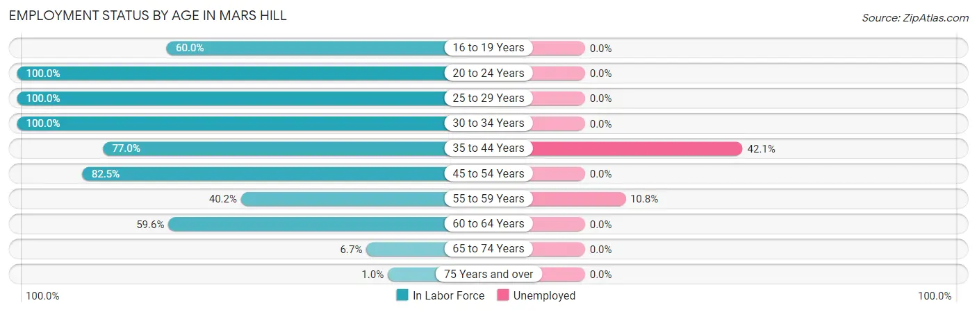 Employment Status by Age in Mars Hill