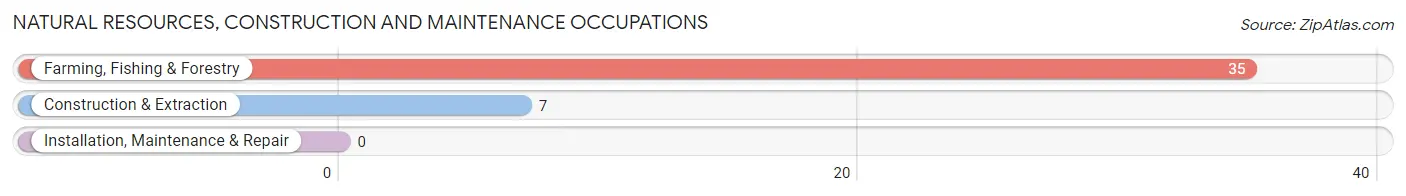 Natural Resources, Construction and Maintenance Occupations in Mars Hill