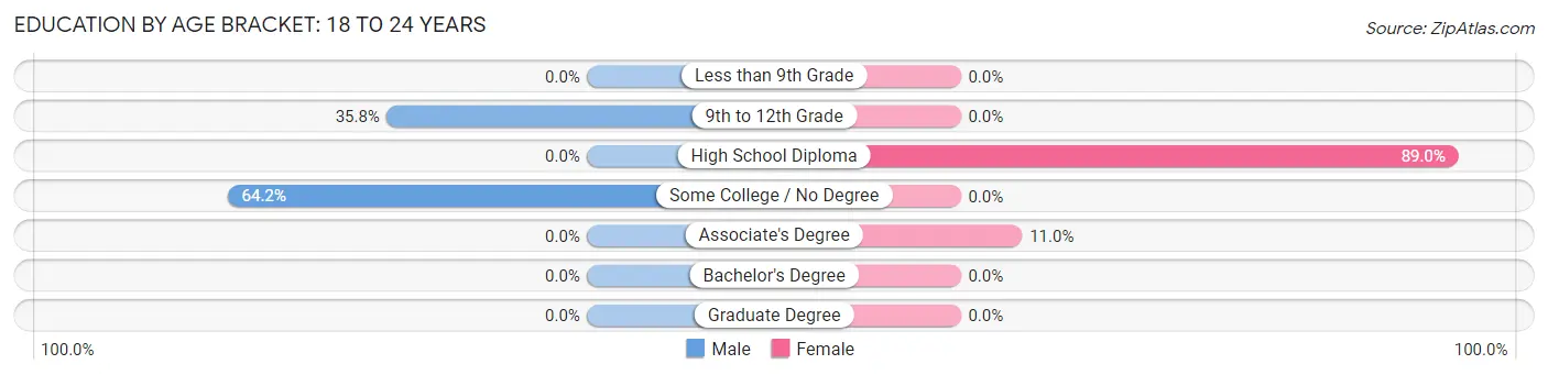 Education By Age Bracket in Mechanic Falls: 18 to 24 Years