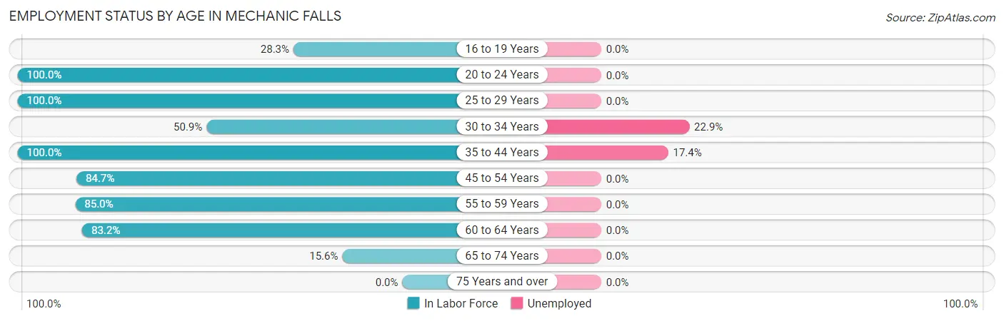 Employment Status by Age in Mechanic Falls