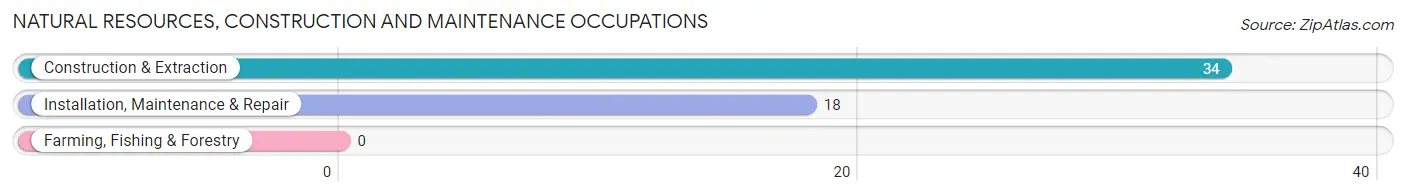 Natural Resources, Construction and Maintenance Occupations in Mechanic Falls