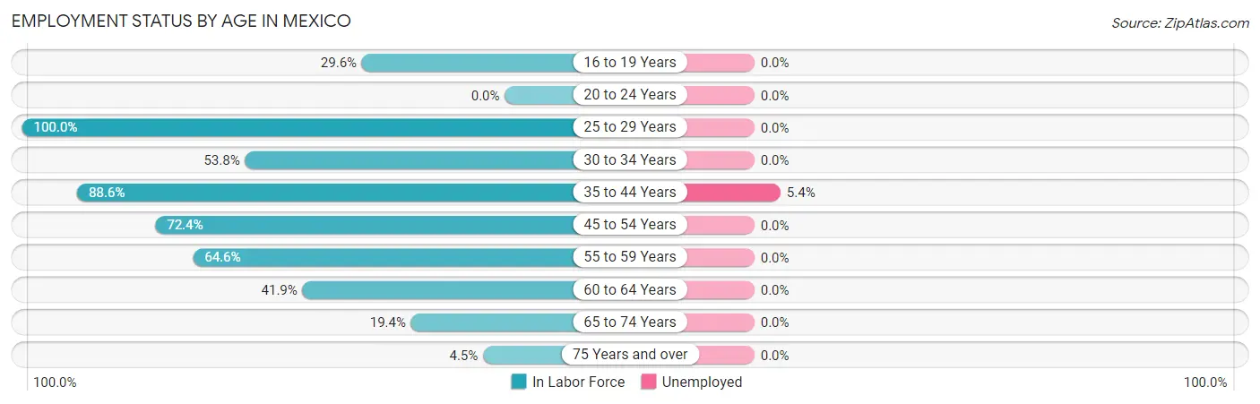 Employment Status by Age in Mexico