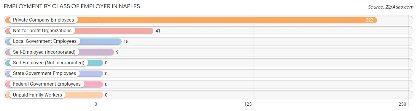 Employment by Class of Employer in Naples
