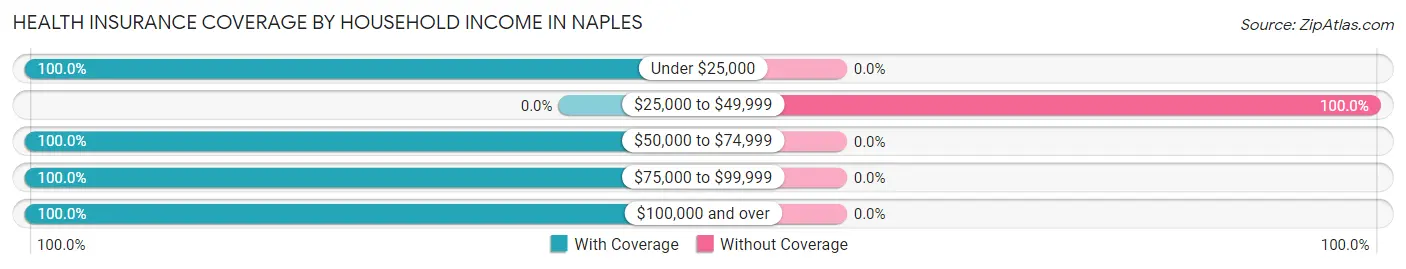 Health Insurance Coverage by Household Income in Naples