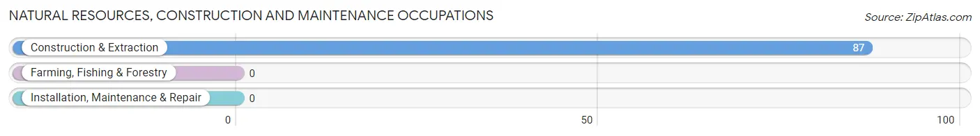 Natural Resources, Construction and Maintenance Occupations in Naples