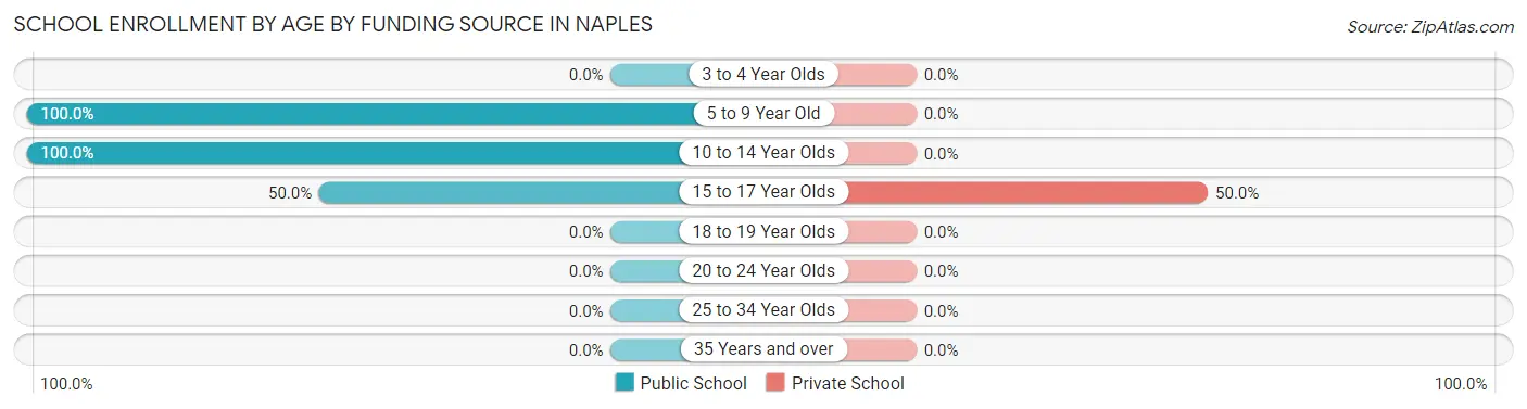 School Enrollment by Age by Funding Source in Naples