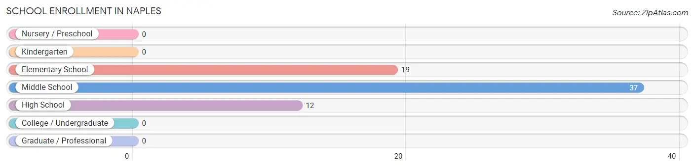 School Enrollment in Naples