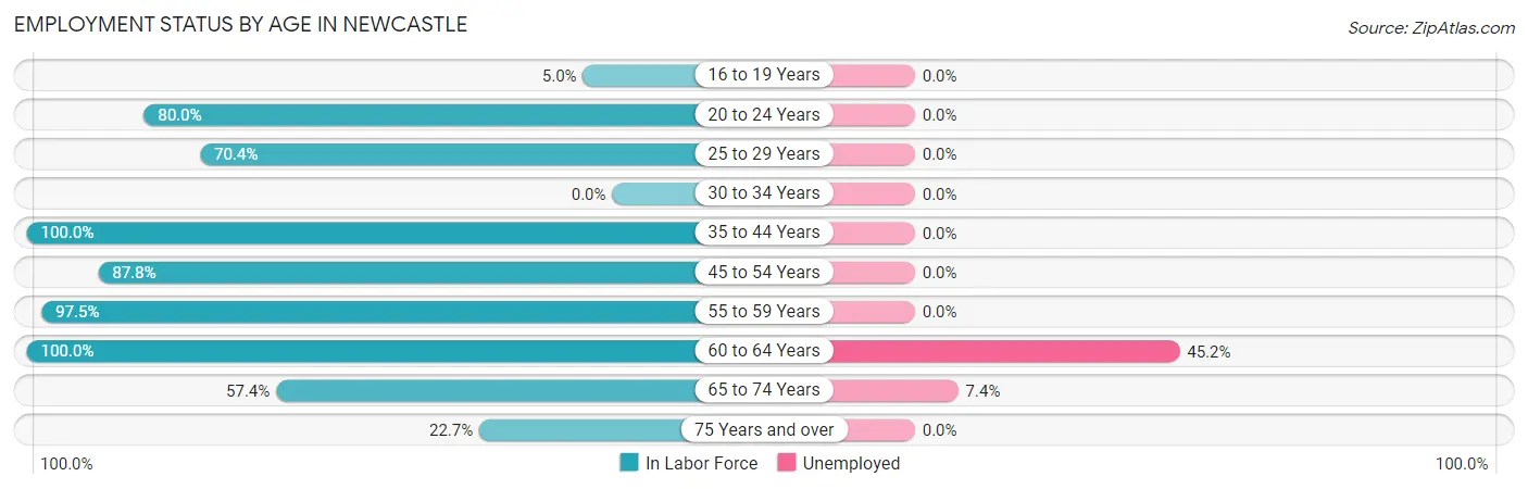 Employment Status by Age in Newcastle