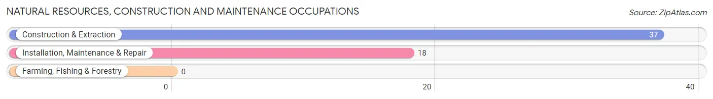 Natural Resources, Construction and Maintenance Occupations in Newport
