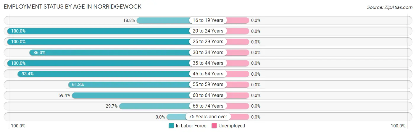 Employment Status by Age in Norridgewock