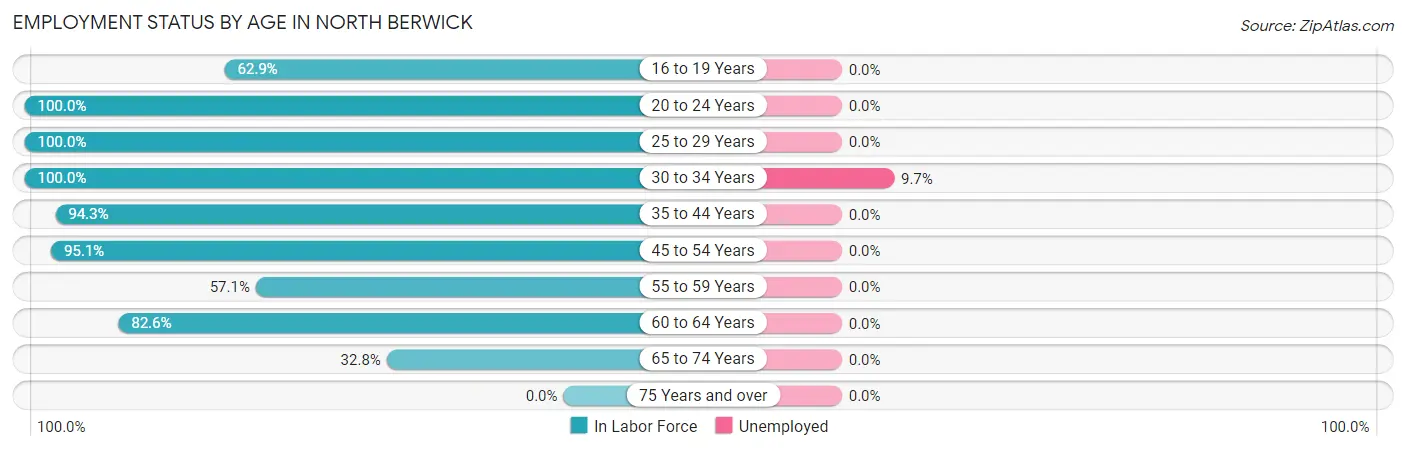 Employment Status by Age in North Berwick