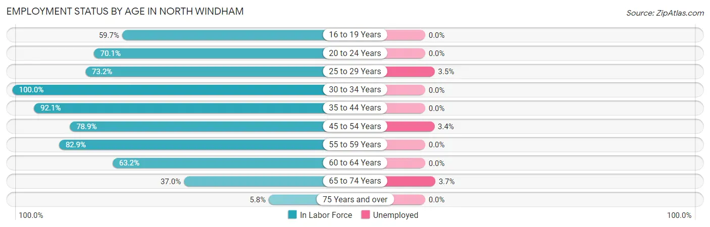 Employment Status by Age in North Windham
