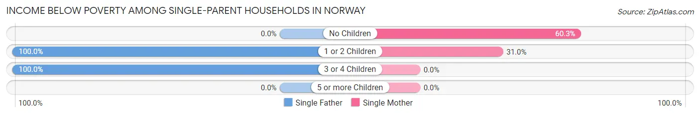 Income Below Poverty Among Single-Parent Households in Norway