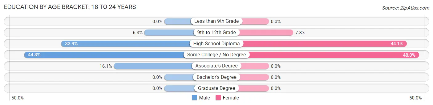 Education By Age Bracket in Pittsfield: 18 to 24 Years