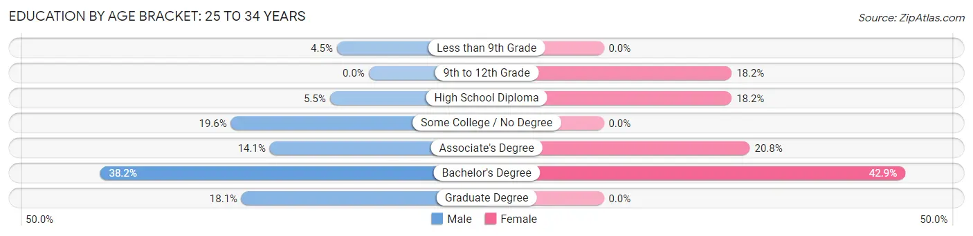 Education By Age Bracket in Pittsfield: 25 to 34 Years