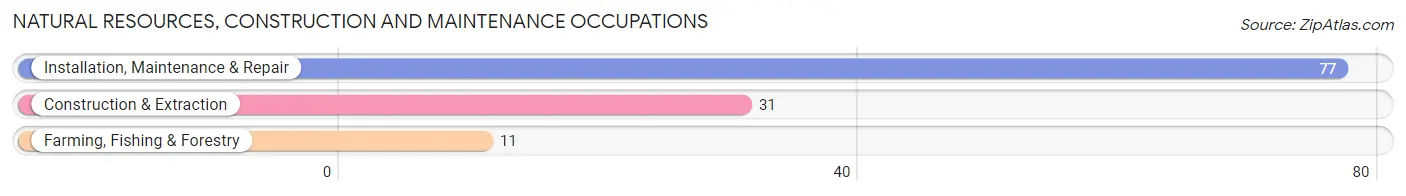 Natural Resources, Construction and Maintenance Occupations in Richmond