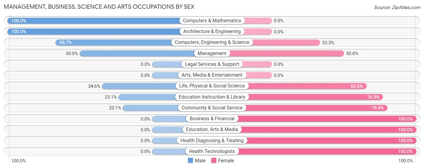 Management, Business, Science and Arts Occupations by Sex in Rumford