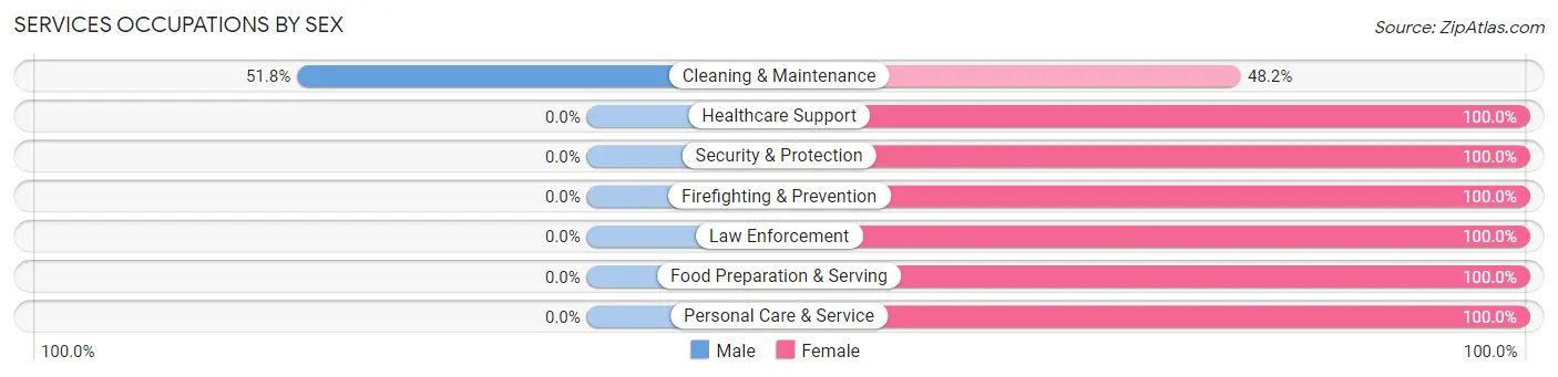 Services Occupations by Sex in Rumford
