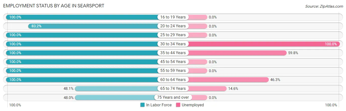 Employment Status by Age in Searsport