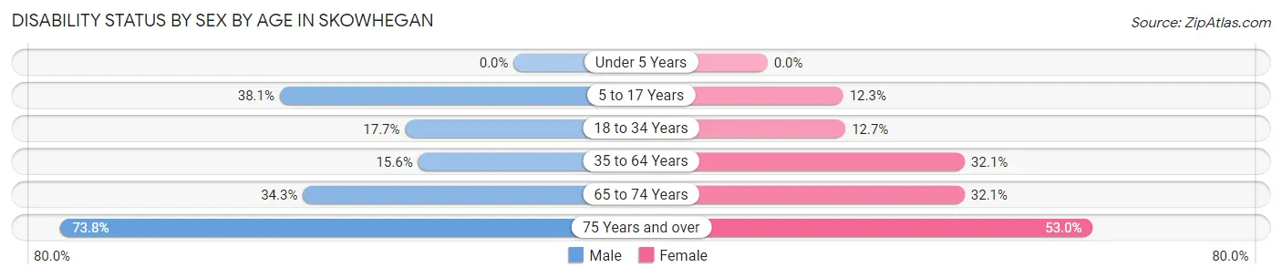 Disability Status by Sex by Age in Skowhegan