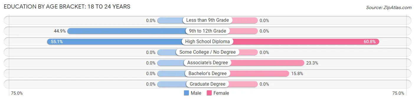 Education By Age Bracket in South Eliot: 18 to 24 Years