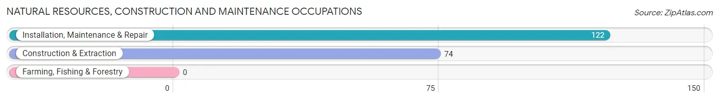 Natural Resources, Construction and Maintenance Occupations in South Eliot