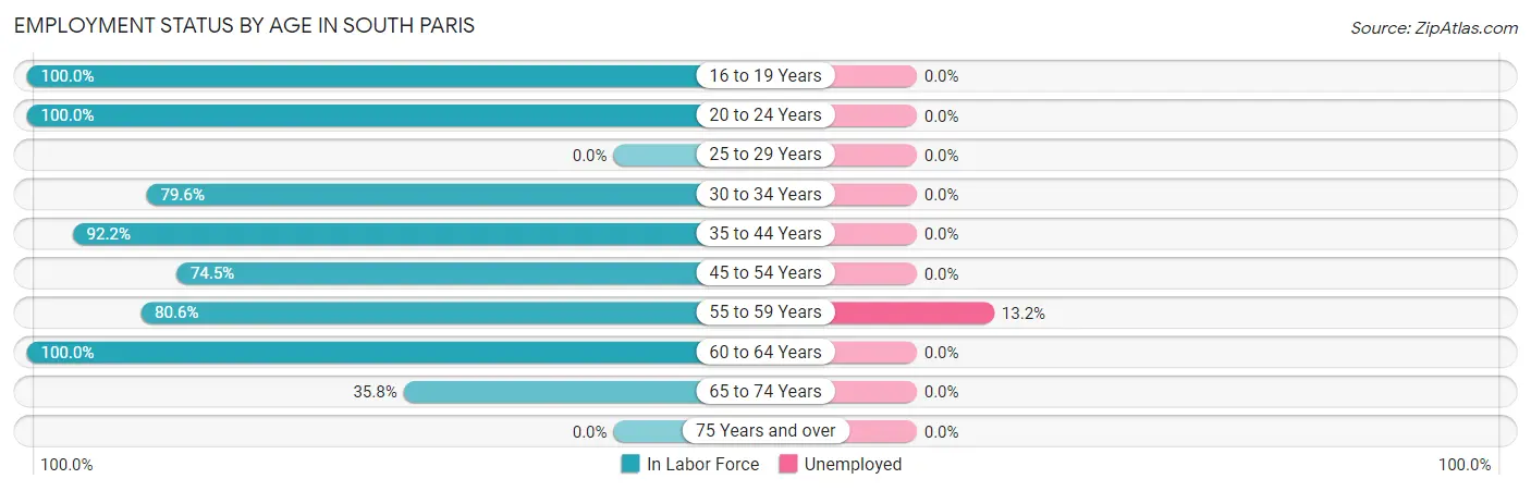 Employment Status by Age in South Paris