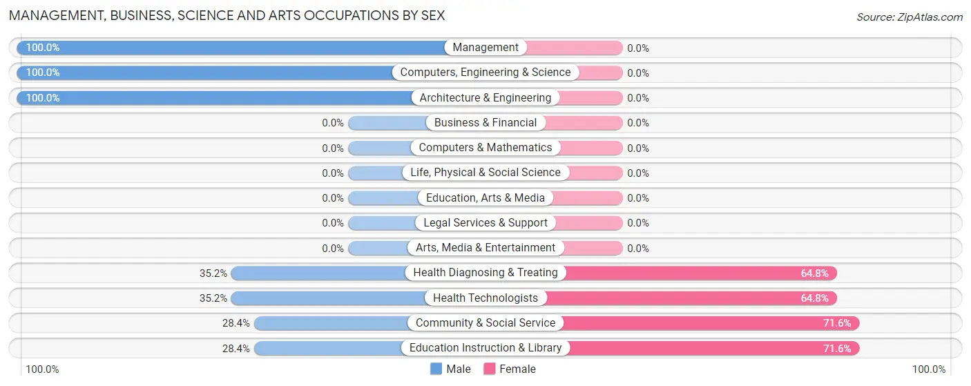 Management, Business, Science and Arts Occupations by Sex in South Paris