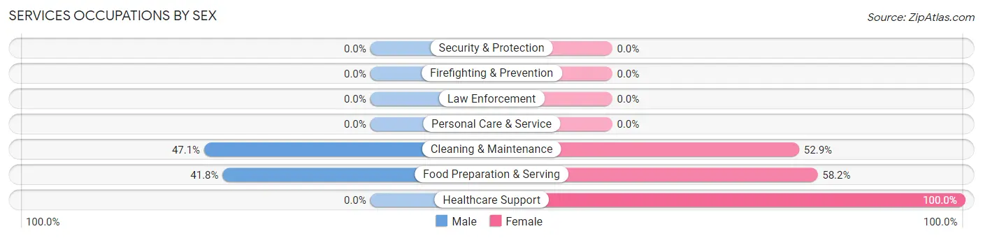 Services Occupations by Sex in South Paris