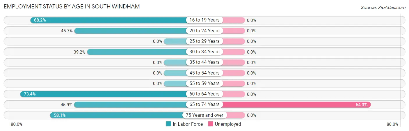 Employment Status by Age in South Windham