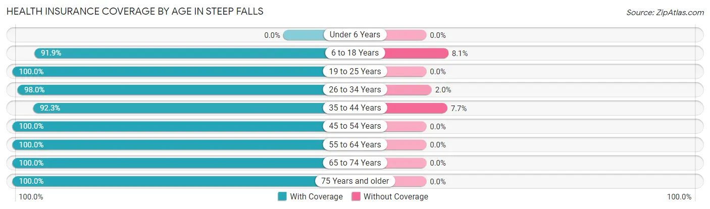 Health Insurance Coverage by Age in Steep Falls