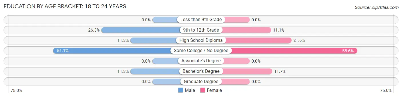 Education By Age Bracket in Topsham: 18 to 24 Years