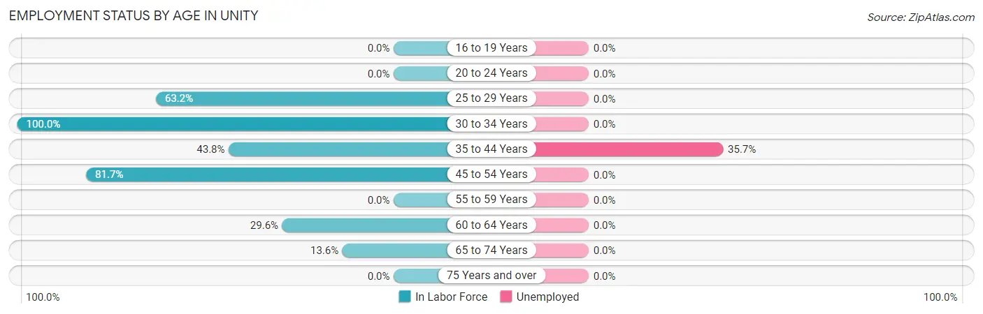 Employment Status by Age in Unity