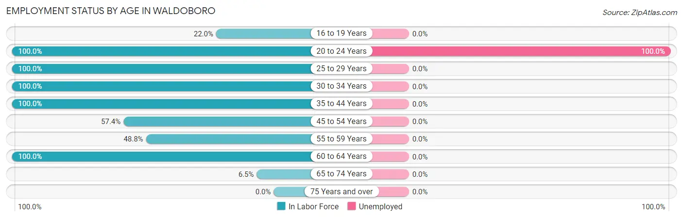 Employment Status by Age in Waldoboro