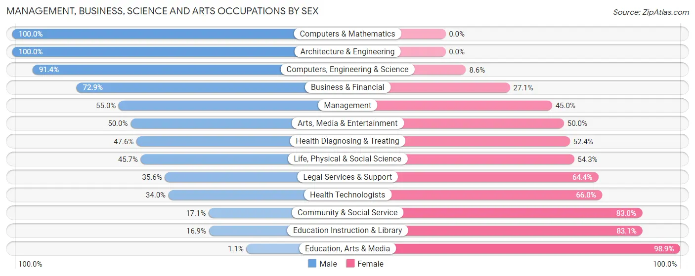 Management, Business, Science and Arts Occupations by Sex in Yarmouth